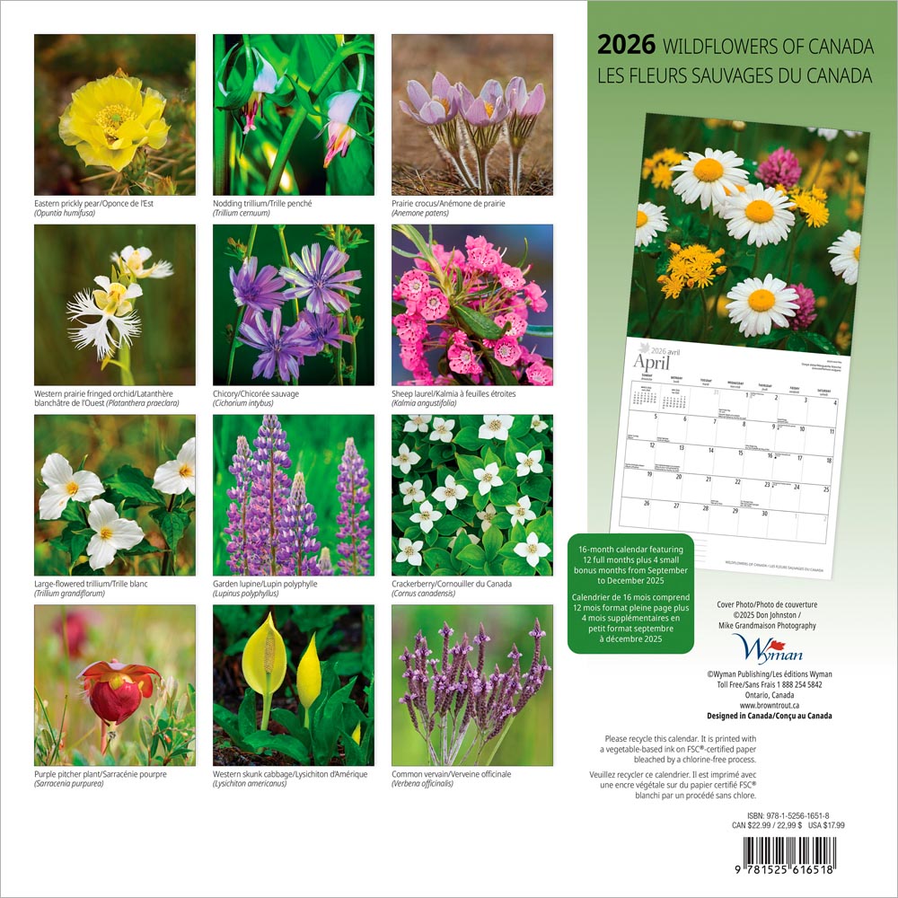 Wildflowers of Canada | 2026 12 x 24 Inch (Hanging) Monthly Square Wall Calendar | English/French Bilingual