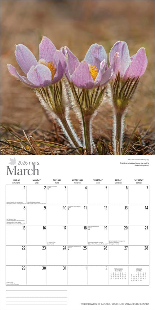Wildflowers of Canada | 2026 12 x 24 Inch (Hanging) Monthly Square Wall Calendar | English/French Bilingual