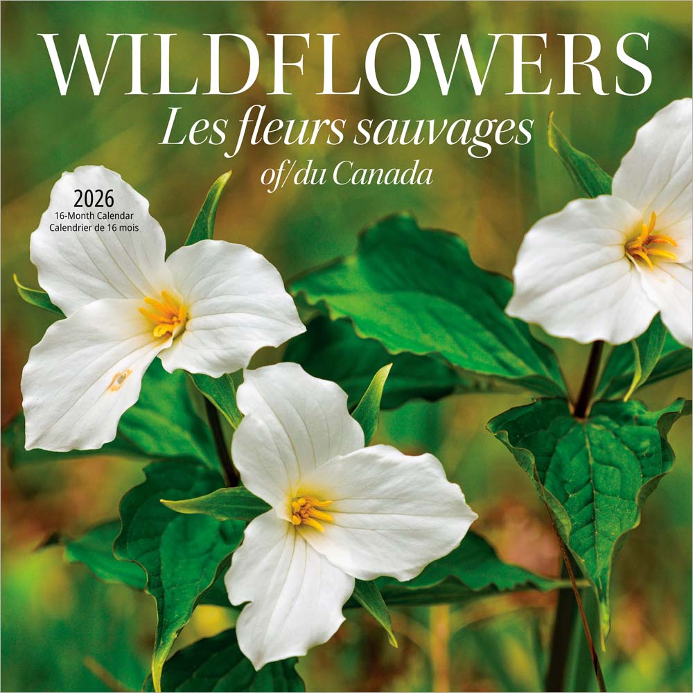Wildflowers of Canada | 2026 12 x 24 Inch (Hanging) Monthly Square Wall Calendar | English/French Bilingual
