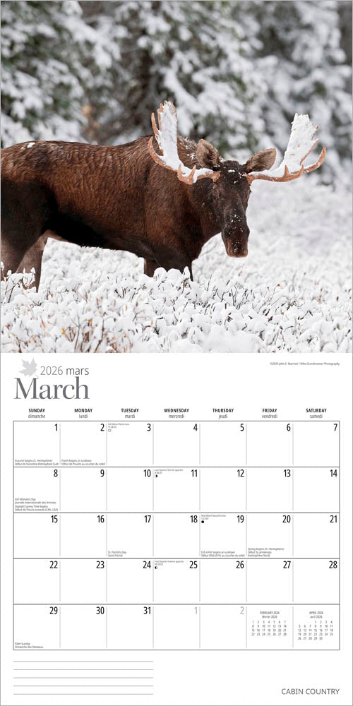 Cabin Country | 2026 12 x 24 Inch (Hanging) Monthly Square Wall Calendar