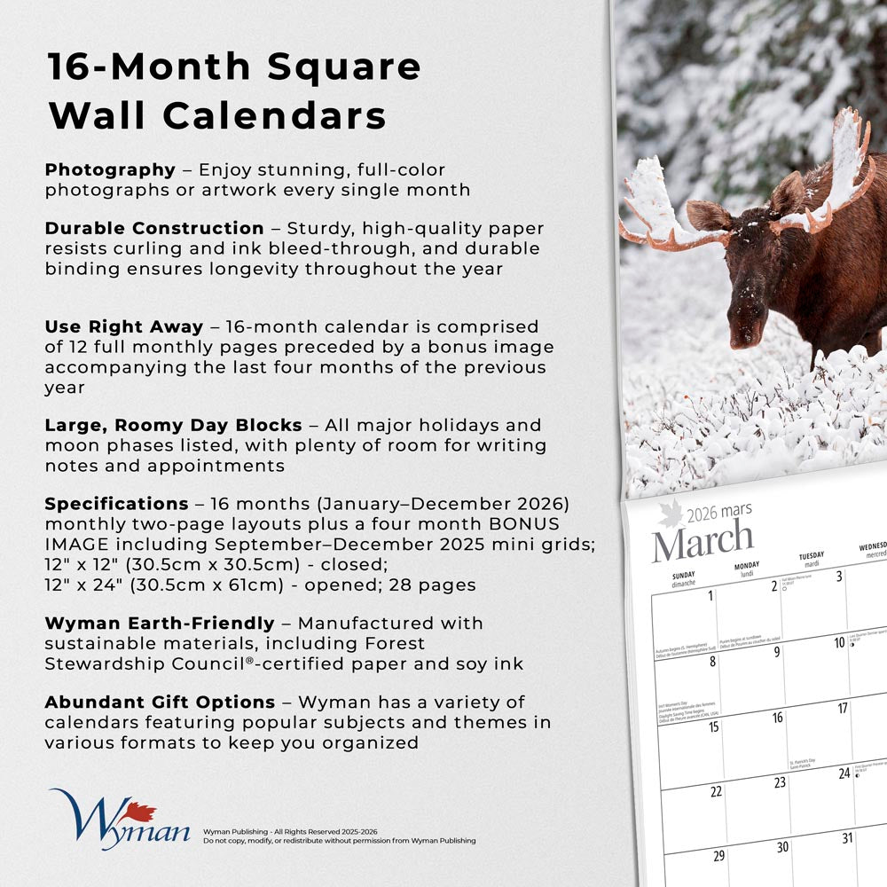 Cabin Country | 2026 12 x 24 Inch (Hanging) Monthly Square Wall Calendar