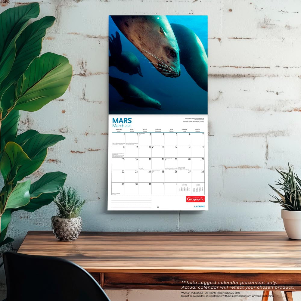 Canadian Geographic La faune OFFICIEL | 2026 12 x 24 Inch (Hanging) Monthly Square Wall Calendar | Foil Stamped Cover | French Language