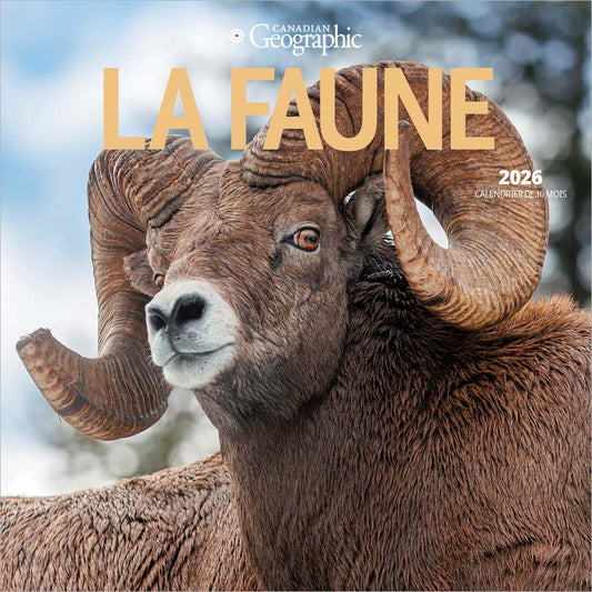 Canadian Geographic La faune OFFICIEL | 2026 7 x 14 Inch (Hanging) Monthly Mini Wall Calendar | French Language
