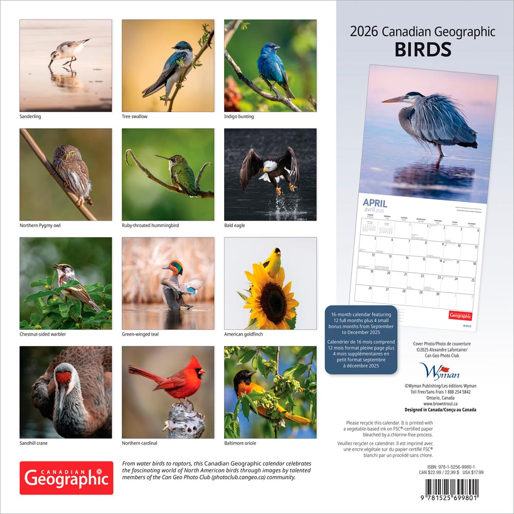 Canadian Geographic Birds OFFICIAL | 2026 12 x 24 Inch (Hanging) Monthly Square Wall Calendar | Foil Stamped Cover