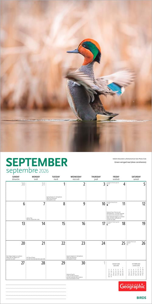 Canadian Geographic Birds OFFICIAL | 2026 12 x 24 Inch (Hanging) Monthly Square Wall Calendar | Foil Stamped Cover
