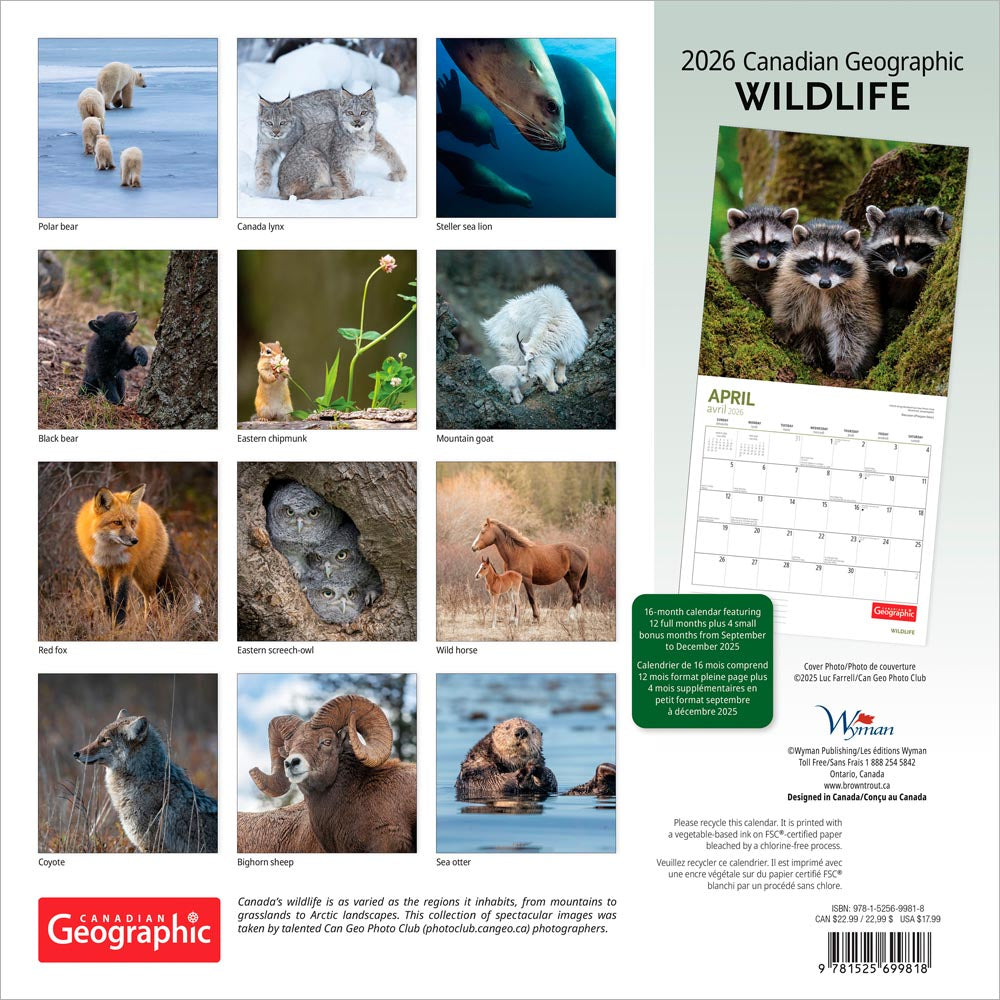 Canadian Geographic Wildlife OFFICIAL | 2026 12 x 24 Inch (Hanging) Monthly Square Wall Calendar | Foil Stamped Cover
