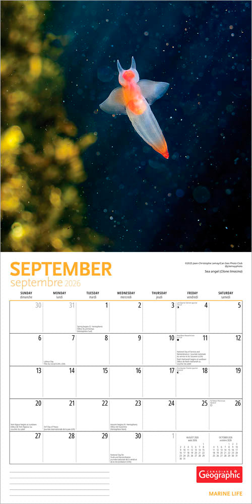 Canadian Geographic Marine Life OFFICIAL | 2026 12 x 24 Inch (Hanging) Monthly Square Wall Calendar