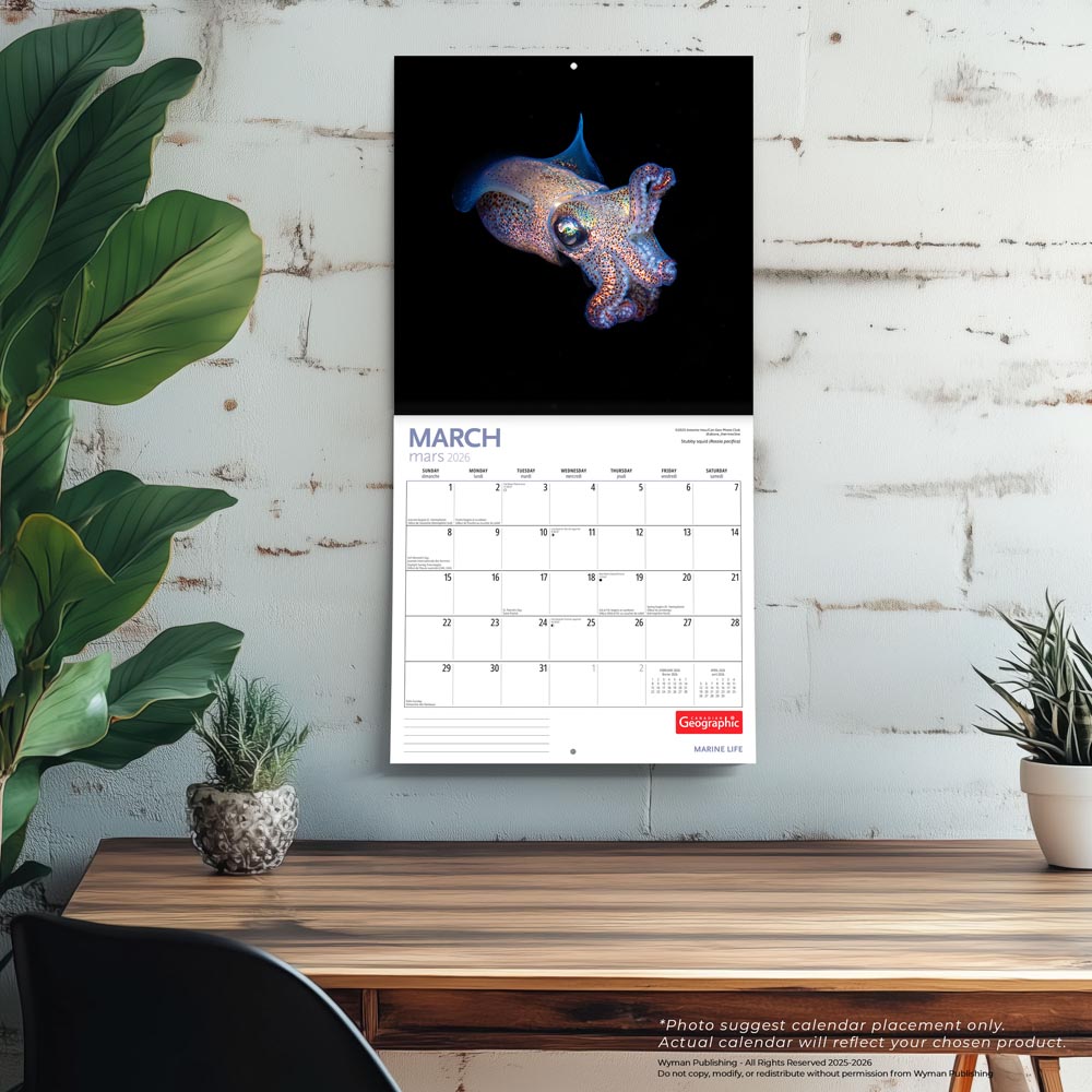 Canadian Geographic Marine Life OFFICIAL | 2026 12 x 24 Inch (Hanging) Monthly Square Wall Calendar