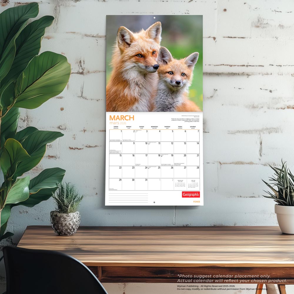 Canadian Geographic Foxes OFFICIAL | 2026 12 x 24 Inch (Hanging) Monthly Square Wall Calendar