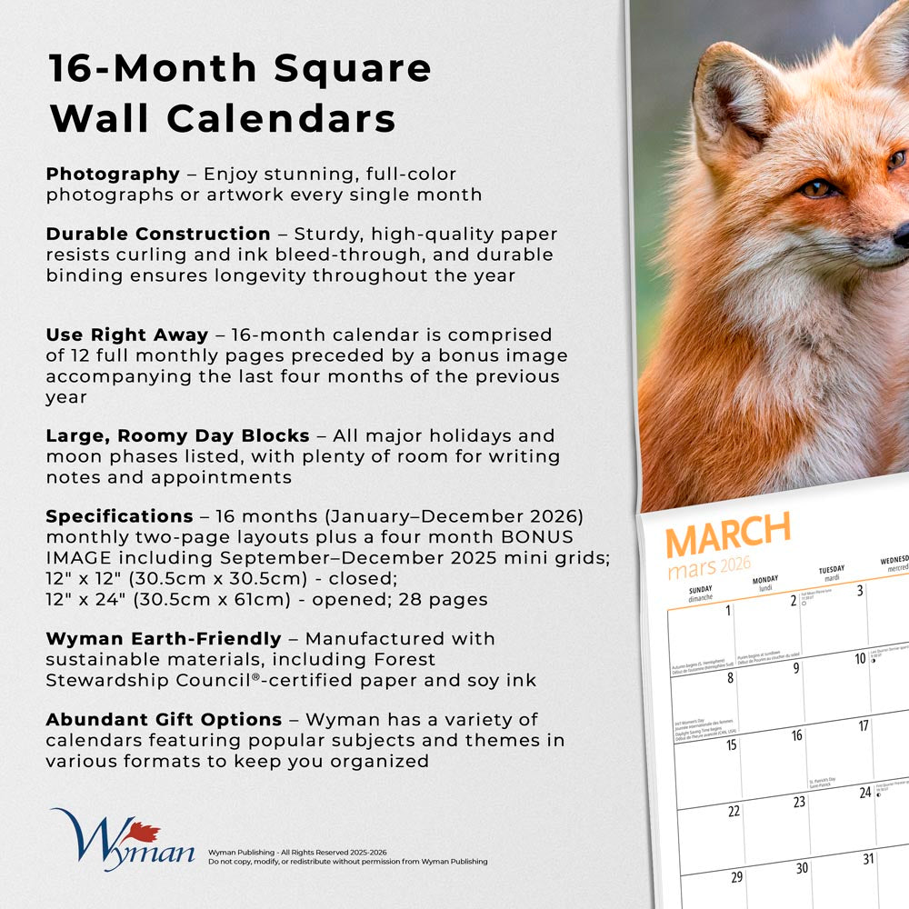 Canadian Geographic Foxes OFFICIAL | 2026 12 x 24 Inch (Hanging) Monthly Square Wall Calendar