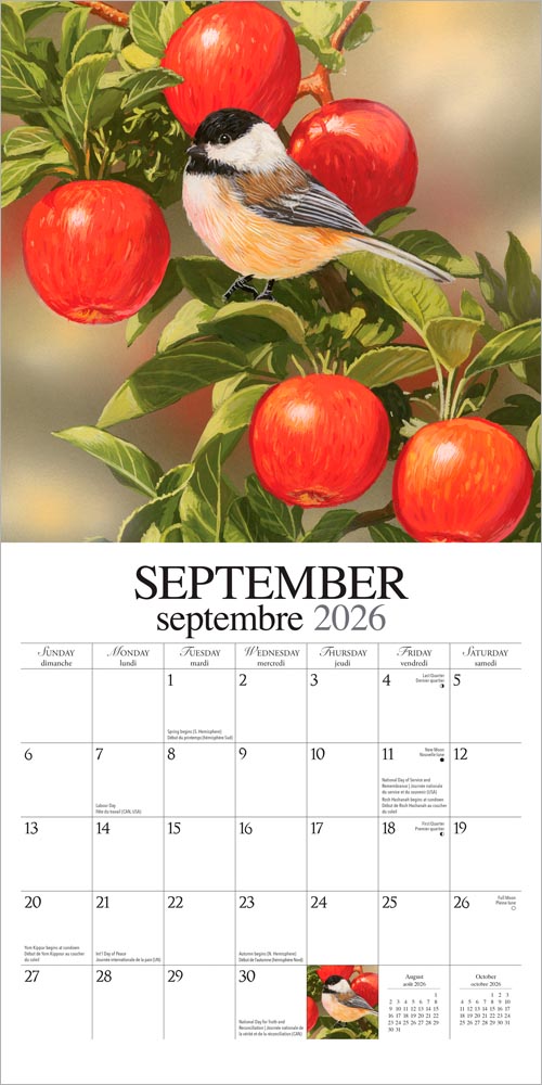 Feathered Friends | 2026 12 x 24 Inch (Hanging) Monthly Square Wall Calendar | Featuring the Artwork of William Vanderdasson | English/French Bilingual