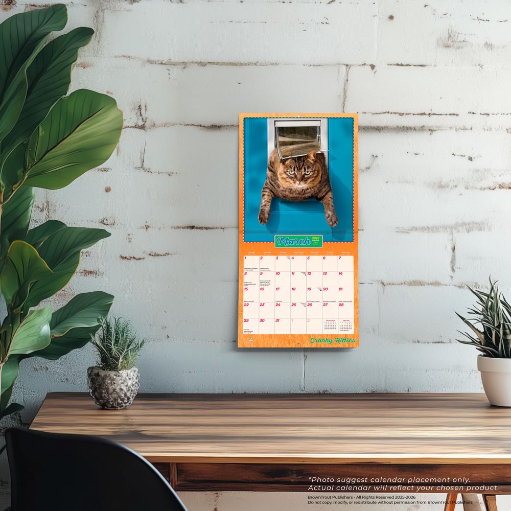 Avanti Cranky Kitties OFFICIAL | 2026 7 x 14 Inch (Hanging) Monthly Mini Wall Calendar