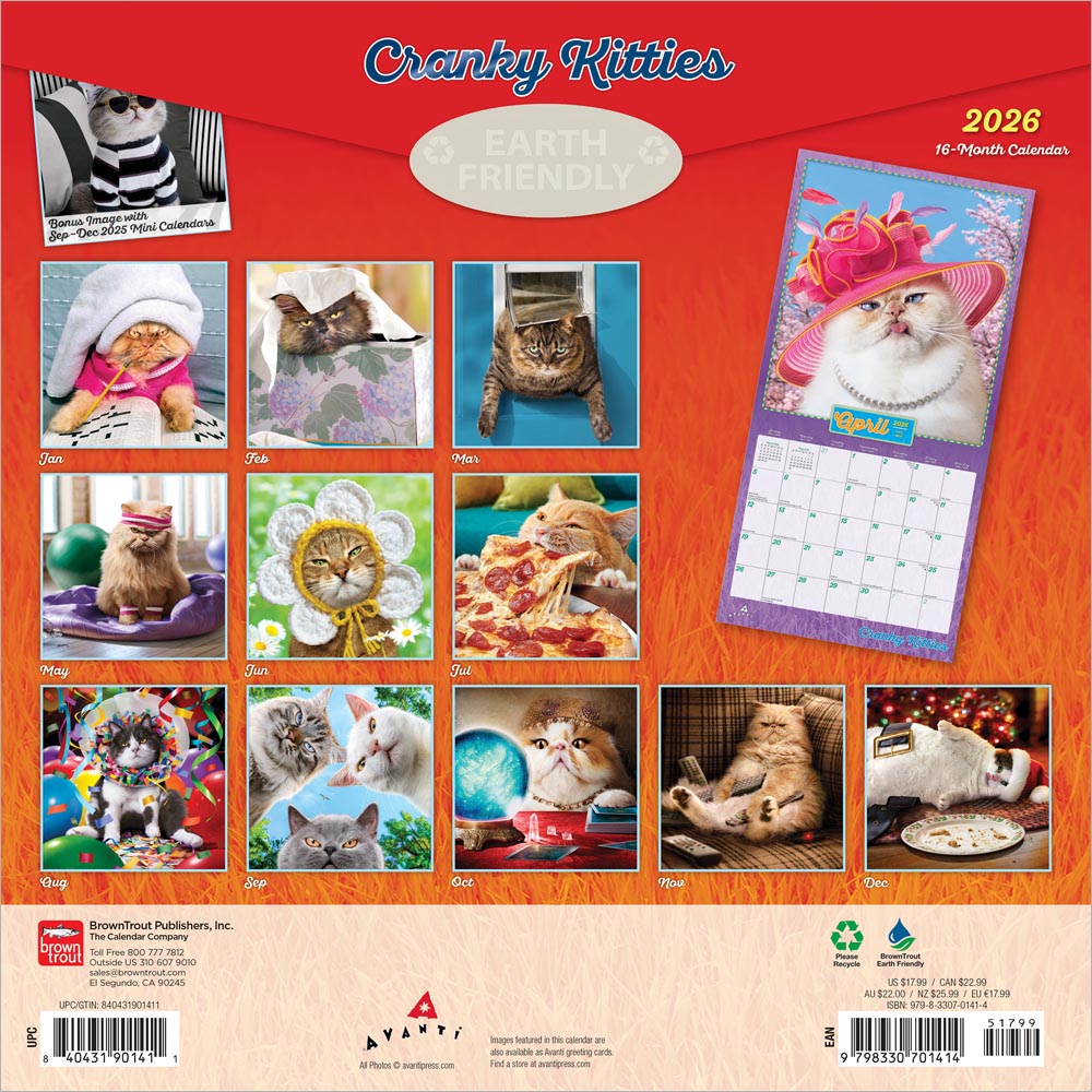 Avanti Cranky Kitties OFFICIAL | 2026 12 x 24 Inch (Hanging) Monthly Square Wall Calendar | Foil Stamped Cover