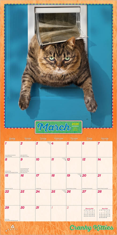 Avanti Cranky Kitties OFFICIAL | 2026 12 x 24 Inch (Hanging) Monthly Square Wall Calendar | Foil Stamped Cover