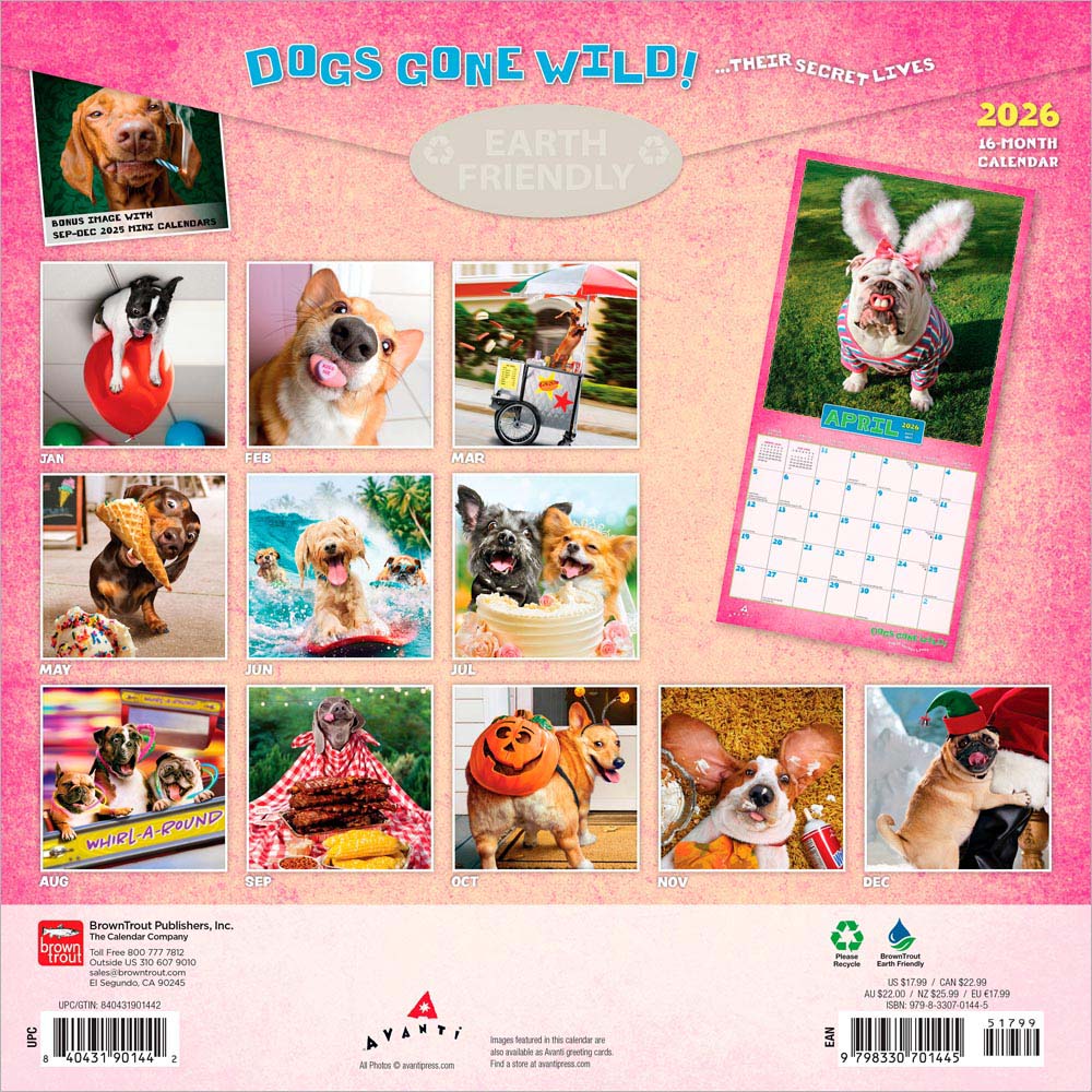 Avanti Dogs Gone Wild OFFICIAL | 2026 12 x 24 Inch (Hanging) Monthly Square Wall Calendar