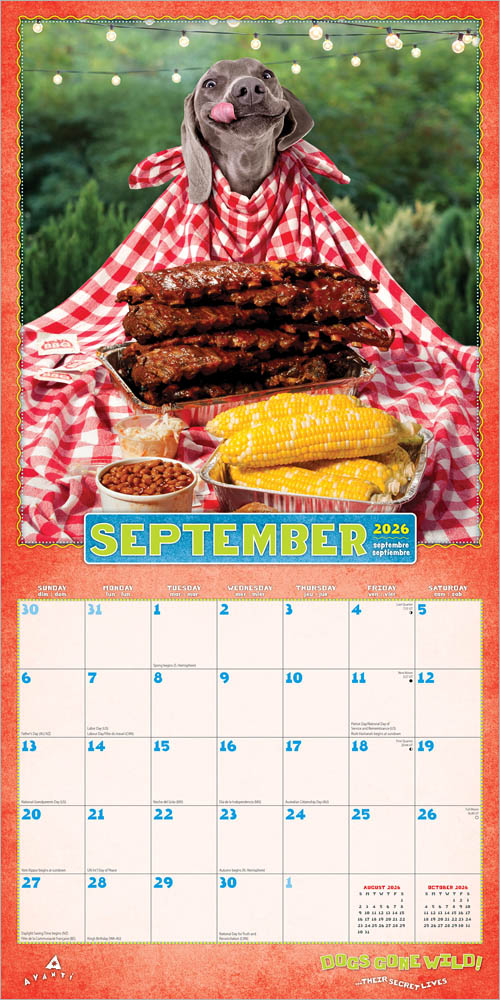 Avanti Dogs Gone Wild OFFICIAL | 2026 12 x 24 Inch (Hanging) Monthly Square Wall Calendar