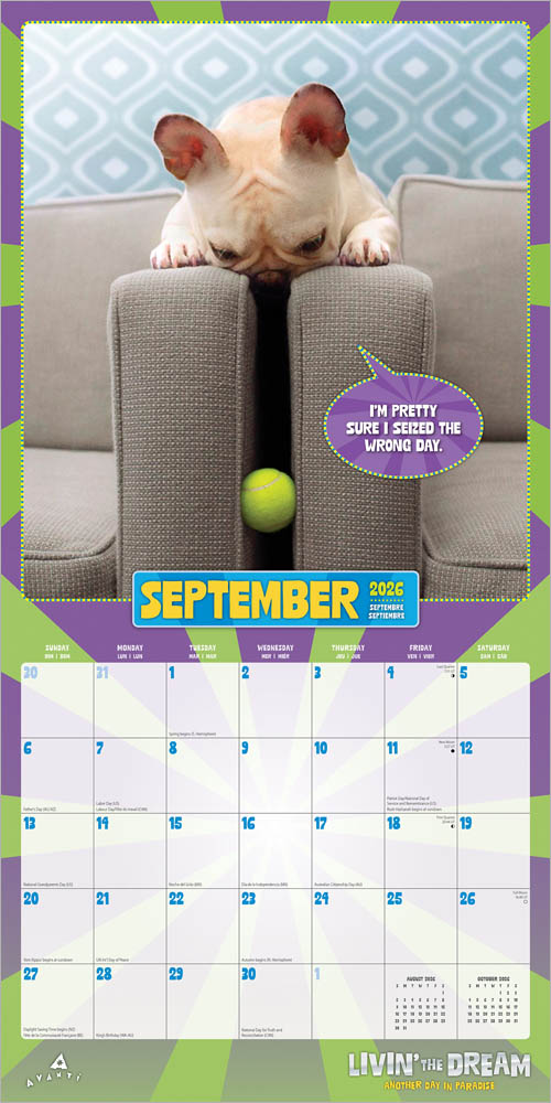 Avanti Livin' the Dream OFFICIAL | 2026 12 x 24 Inch (Hanging) Monthly Square Wall Calendar | Foil Stamped Cover