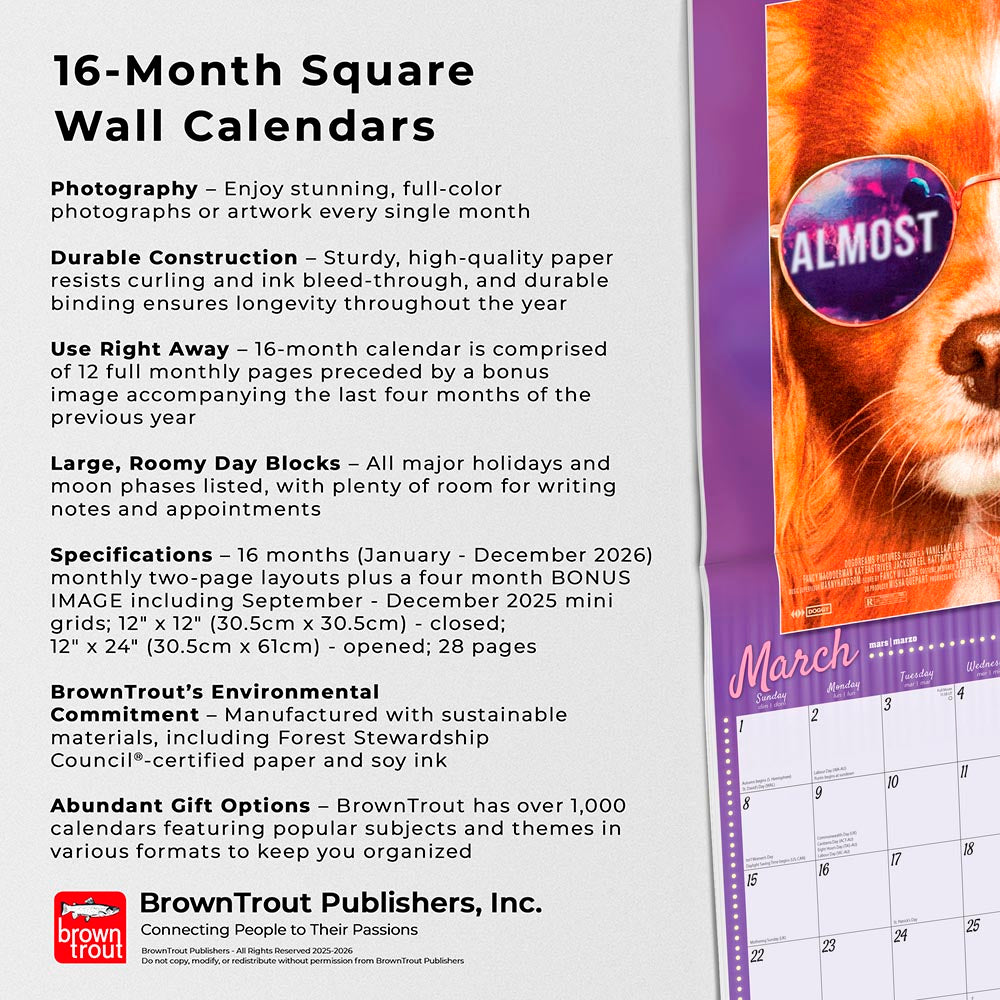 Best in Show OFFICIAL | 2026 12 x 24 Inch (Hanging) Monthly Square Wall Calendar