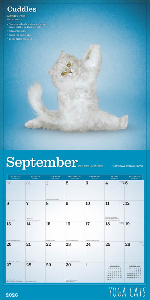 Yoga Cats OFFICIAL | 2026 12 x 24 Inch (Hanging) Monthly Square Wall Calendar