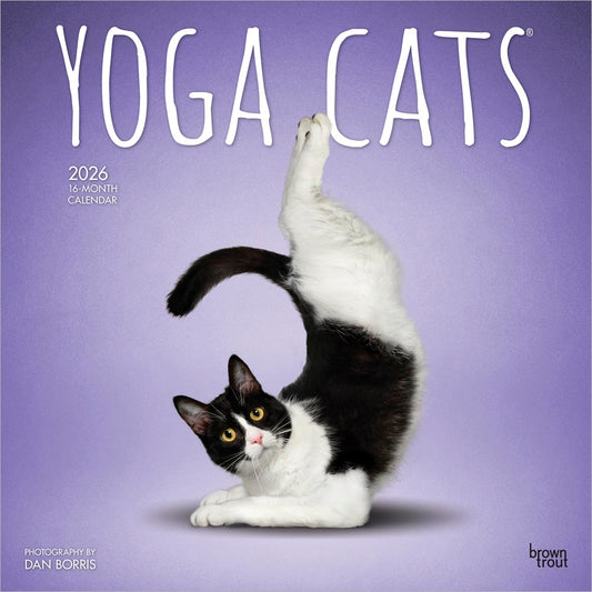 Yoga Cats OFFICIAL | 2026 12 x 24 Inch (Hanging) Monthly Square Wall Calendar