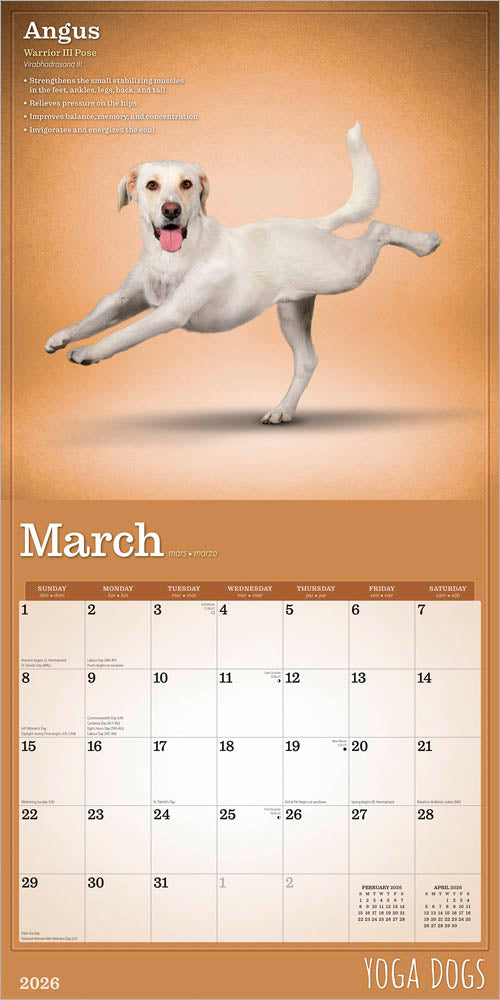 Yoga Dogs OFFICIAL | 2026 12 x 24 Inch (Hanging) Monthly Square Wall Calendar
