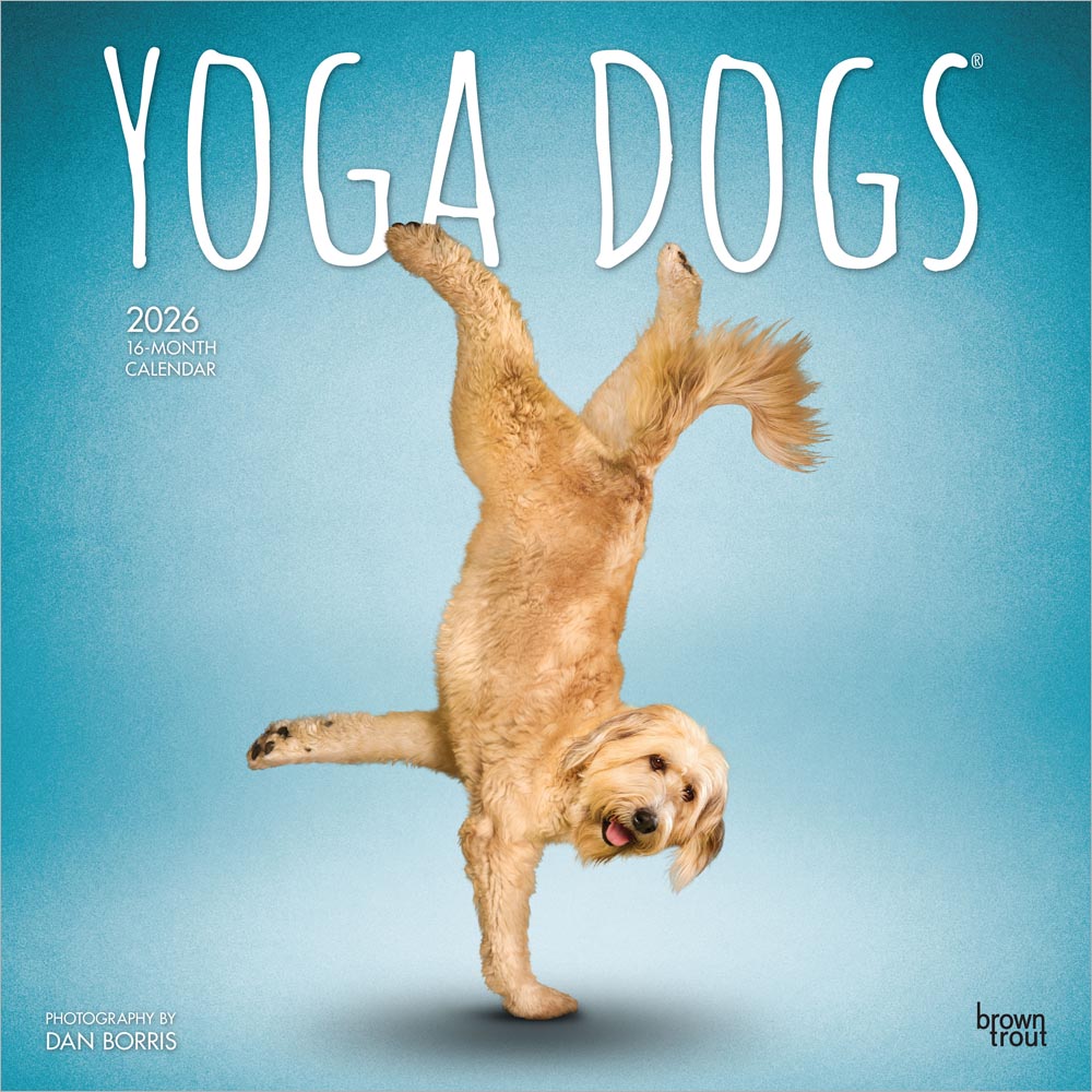 Yoga Dogs OFFICIAL | 2026 12 x 24 Inch (Hanging) Monthly Square Wall Calendar