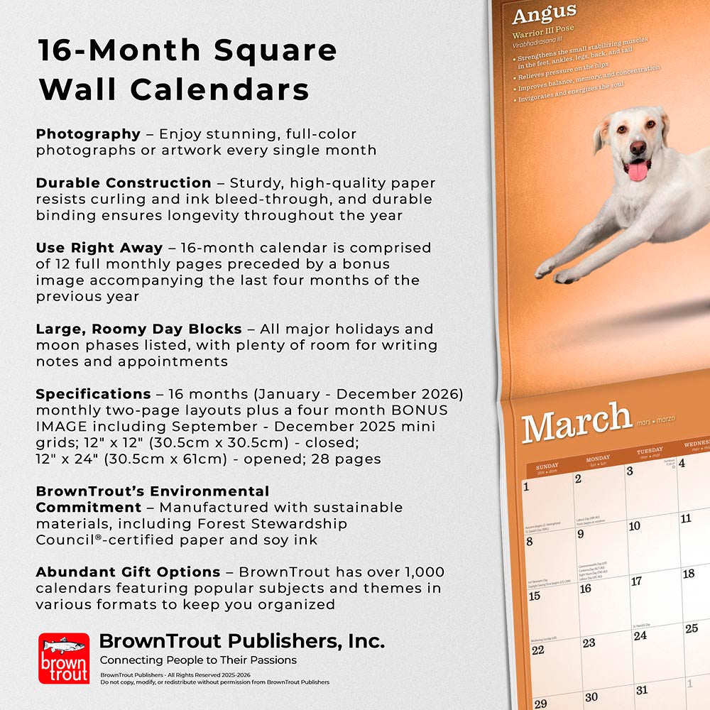 Yoga Dogs OFFICIAL | 2026 12 x 24 Inch (Hanging) Monthly Square Wall Calendar