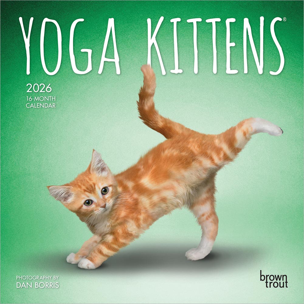 Yoga Kittens OFFICIAL | 2026 7 x 14 Inch (Hanging) Monthly Mini Wall Calendar