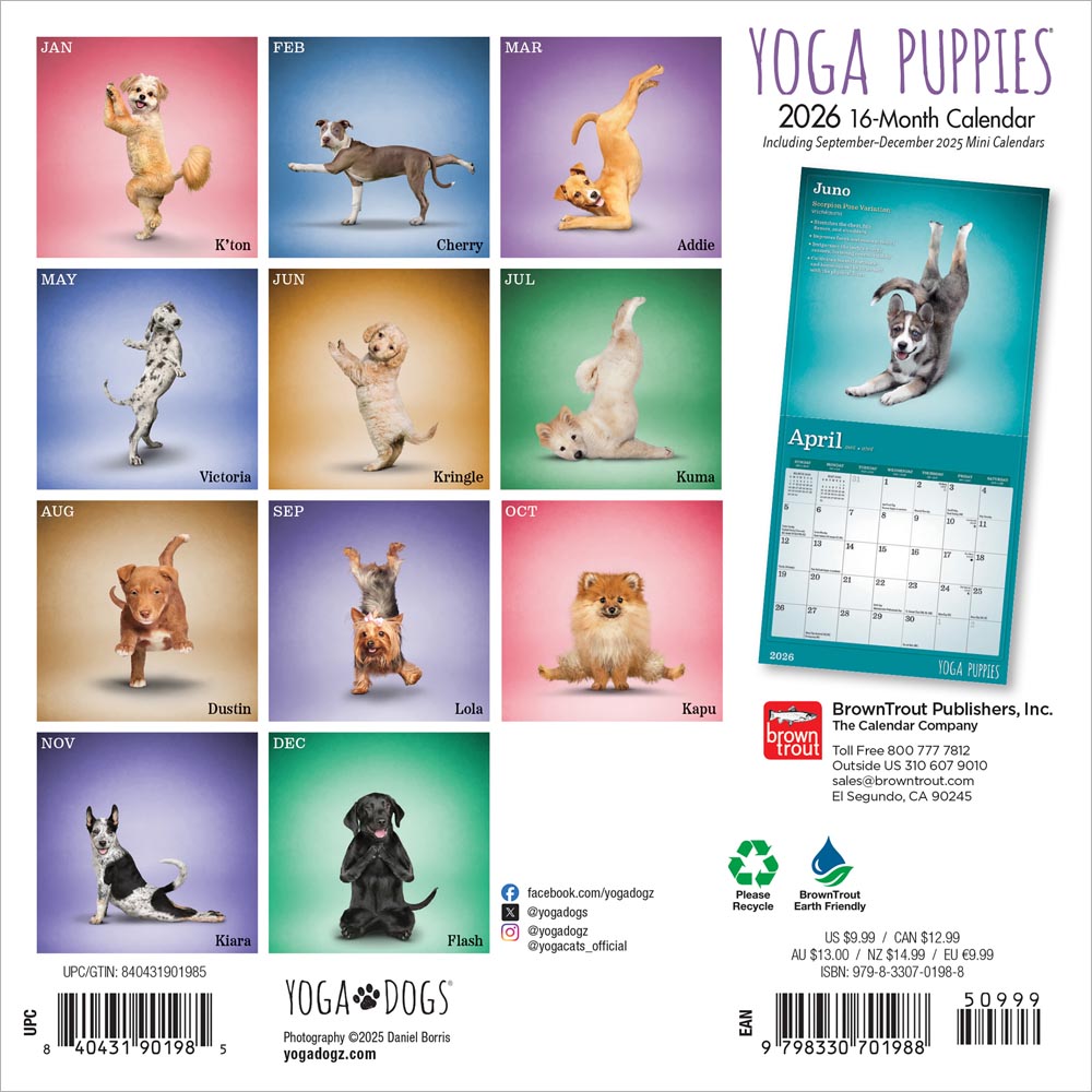 Yoga Puppies OFFICIAL | 2026 7 x 14 Inch (Hanging) Monthly Mini Wall Calendar