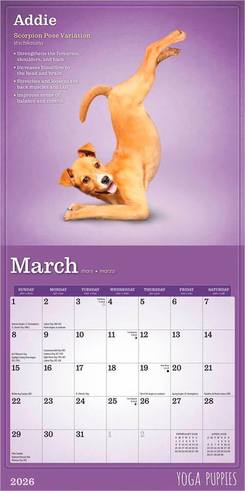 Yoga Puppies OFFICIAL | 2026 7 x 14 Inch (Hanging) Monthly Mini Wall Calendar