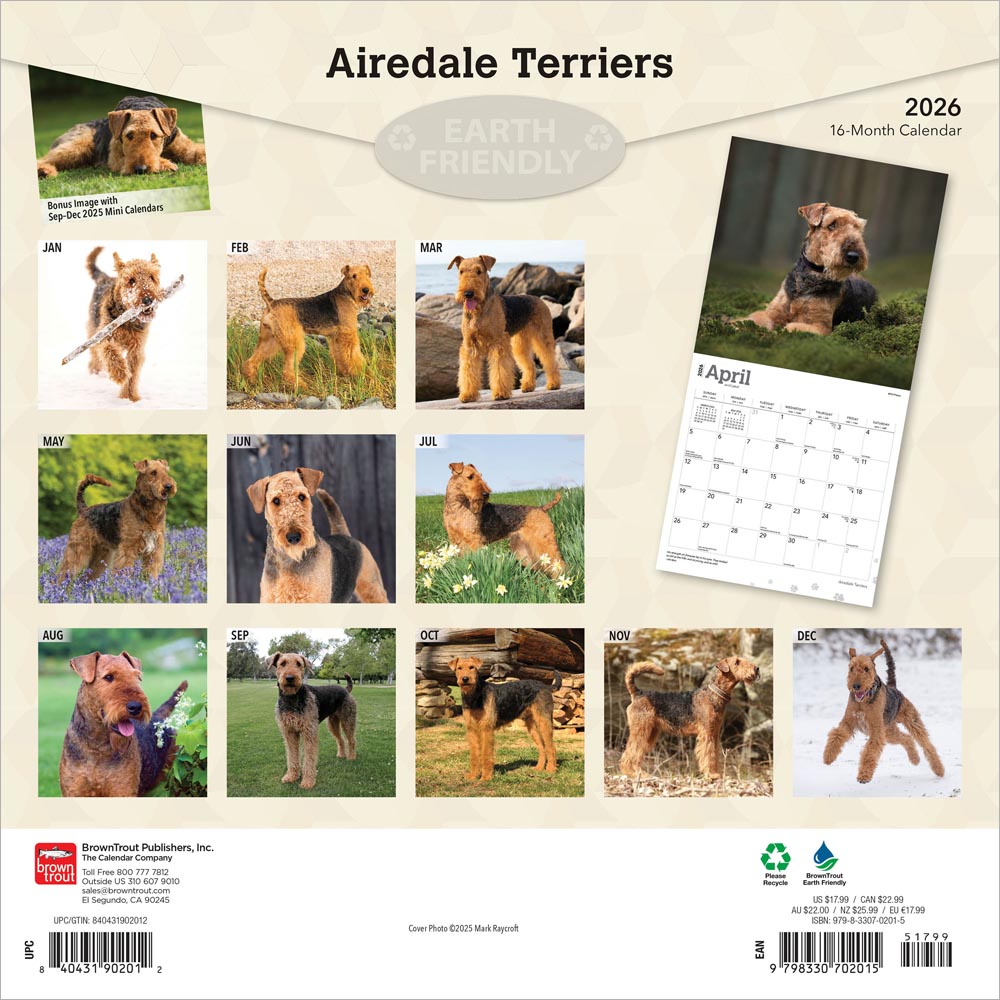 Airedale Terriers | 2026 12 x 24 Inch (Hanging) Monthly Square Wall Calendar