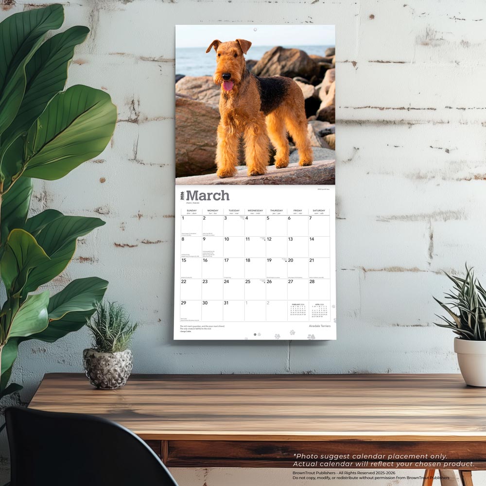 Airedale Terriers | 2026 12 x 24 Inch (Hanging) Monthly Square Wall Calendar
