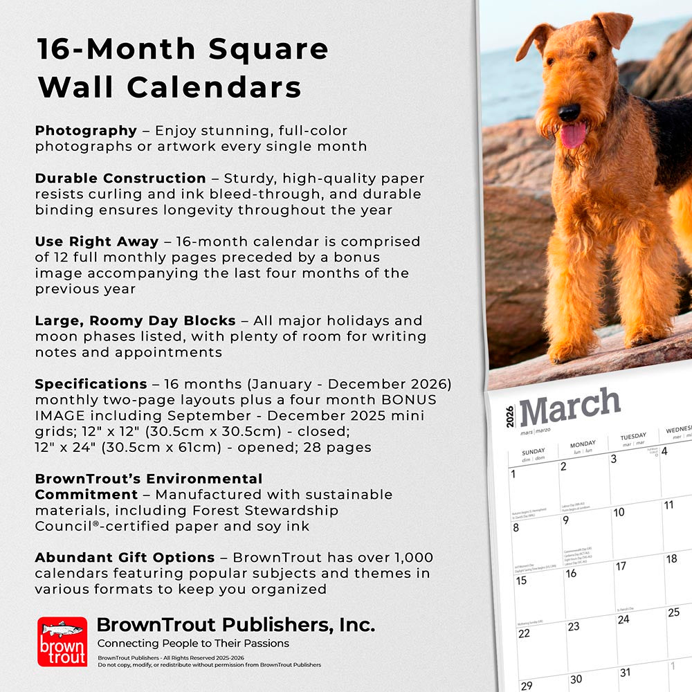 Airedale Terriers | 2026 12 x 24 Inch (Hanging) Monthly Square Wall Calendar