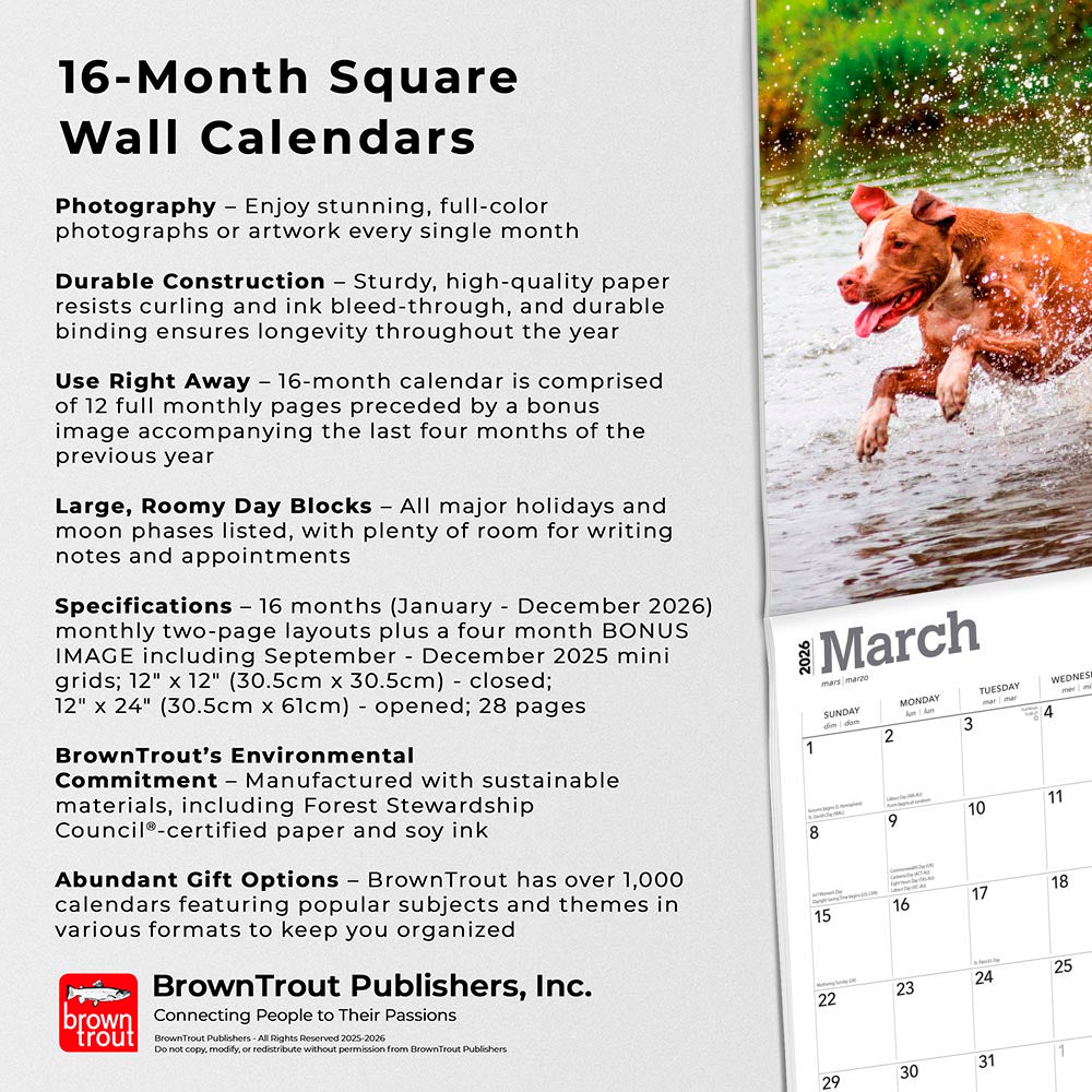 American Pit Bull Terriers | 2026 12 x 24 Inch (Hanging) Monthly Square Wall Calendar