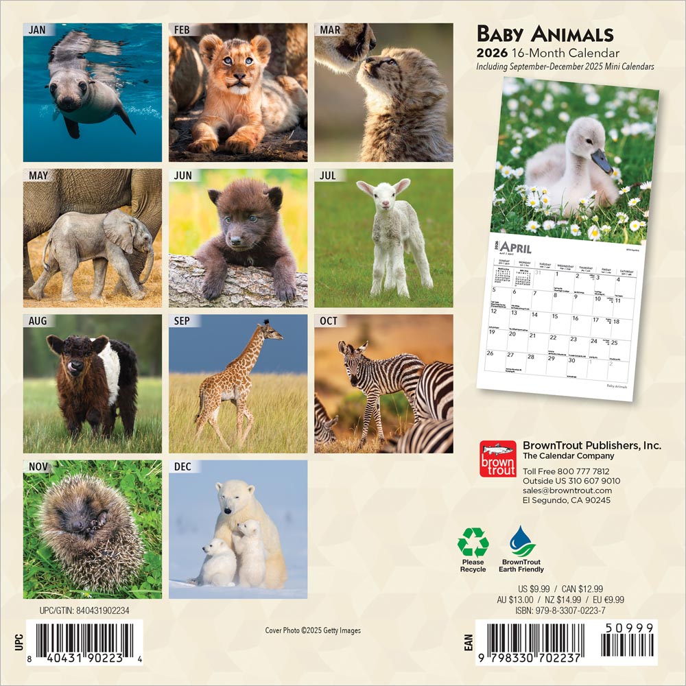 Baby Animals | 2026 7 x 14 Inch (Hanging) Monthly Mini Wall Calendar