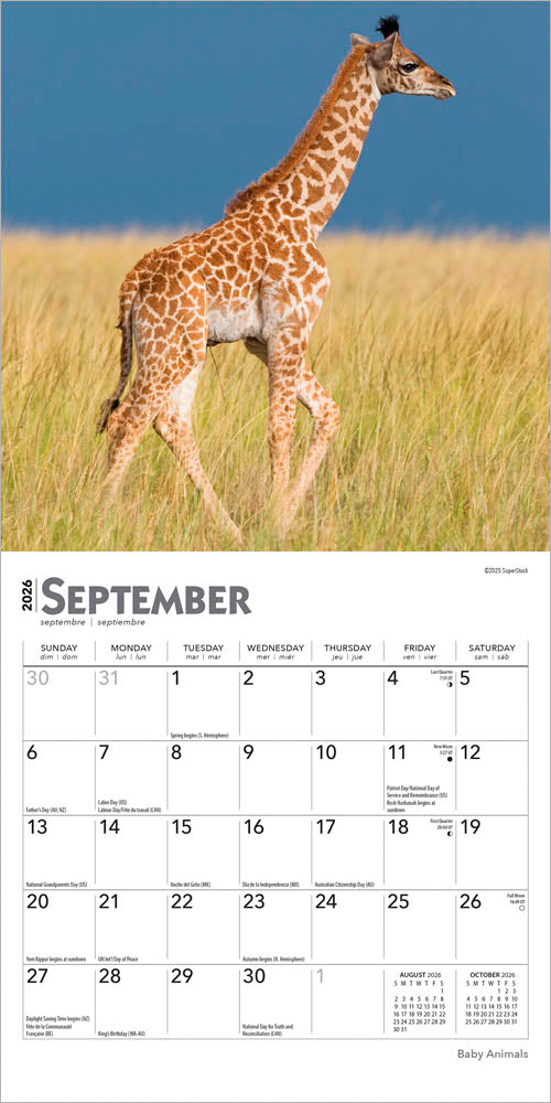 Baby Animals | 2026 7 x 14 Inch (Hanging) Monthly Mini Wall Calendar