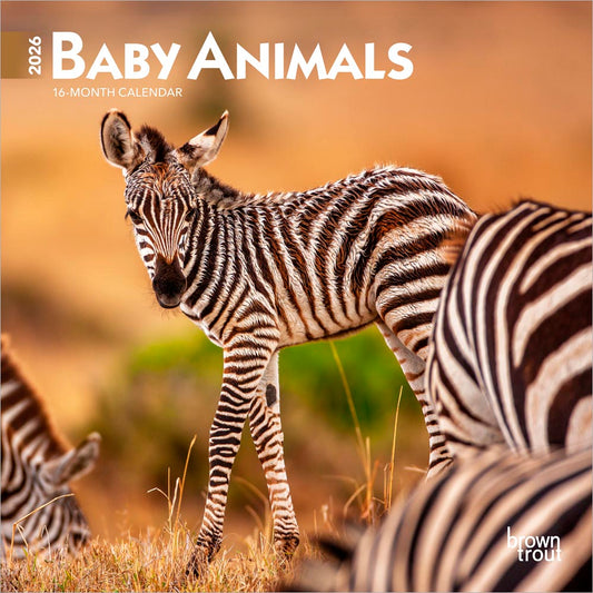 Baby Animals | 2026 7 x 14 Inch (Hanging) Monthly Mini Wall Calendar