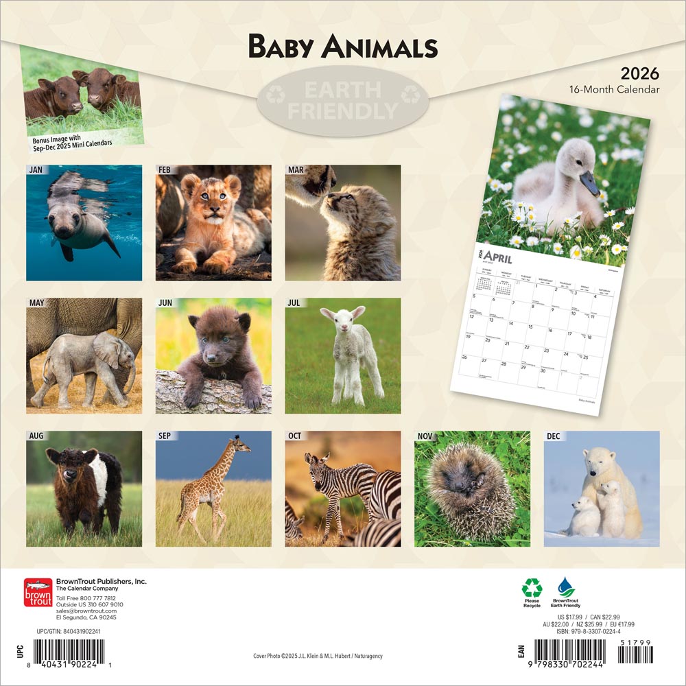 Baby Animals | 2026 12 x 24 Inch (Hanging) Monthly Square Wall Calendar
