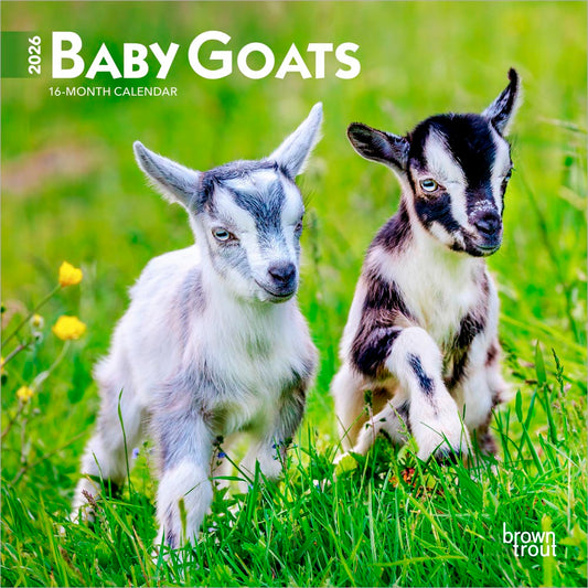 Baby Goats | 2026 7 x 14 Inch (Hanging) Monthly Mini Wall Calendar
