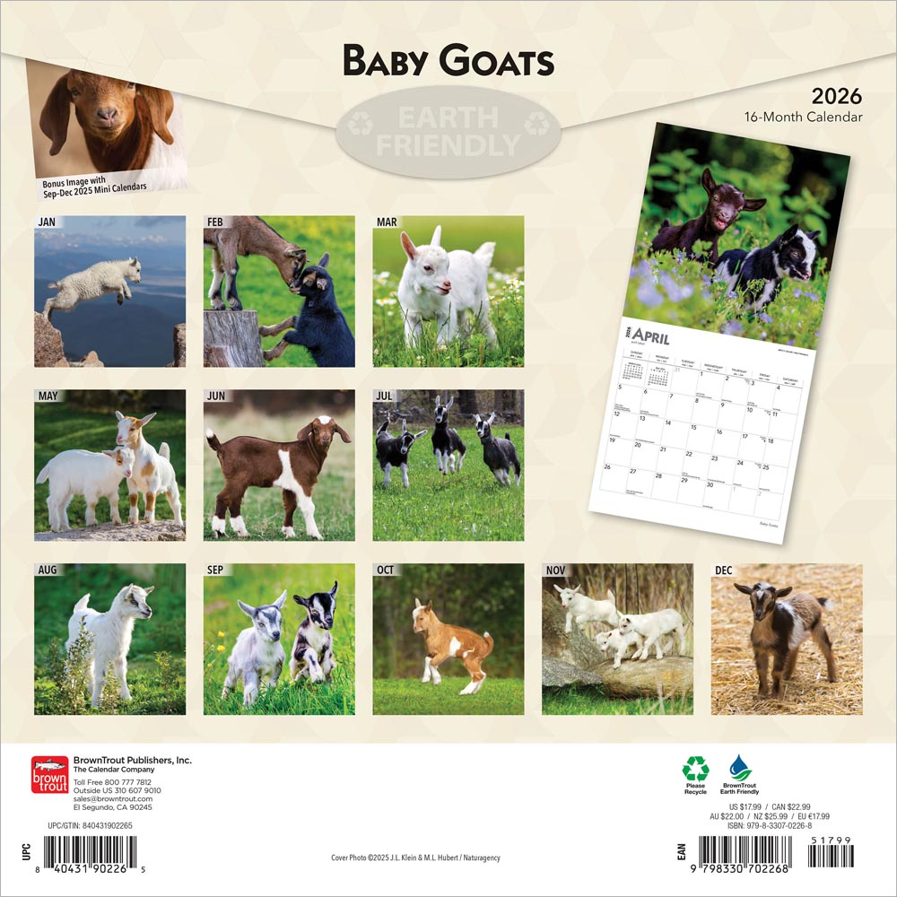 Baby Goats | 2026 12 x 24 Inch (Hanging) Monthly Square Wall Calendar