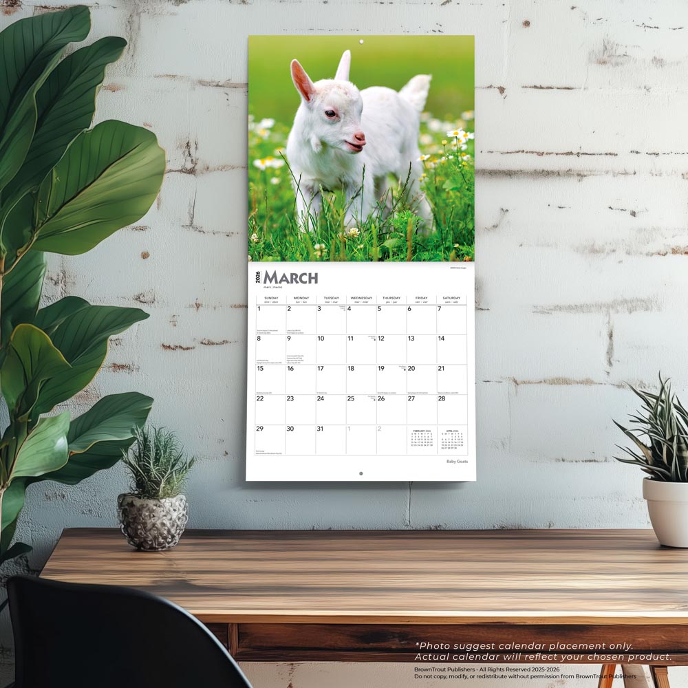 Baby Goats | 2026 12 x 24 Inch (Hanging) Monthly Square Wall Calendar