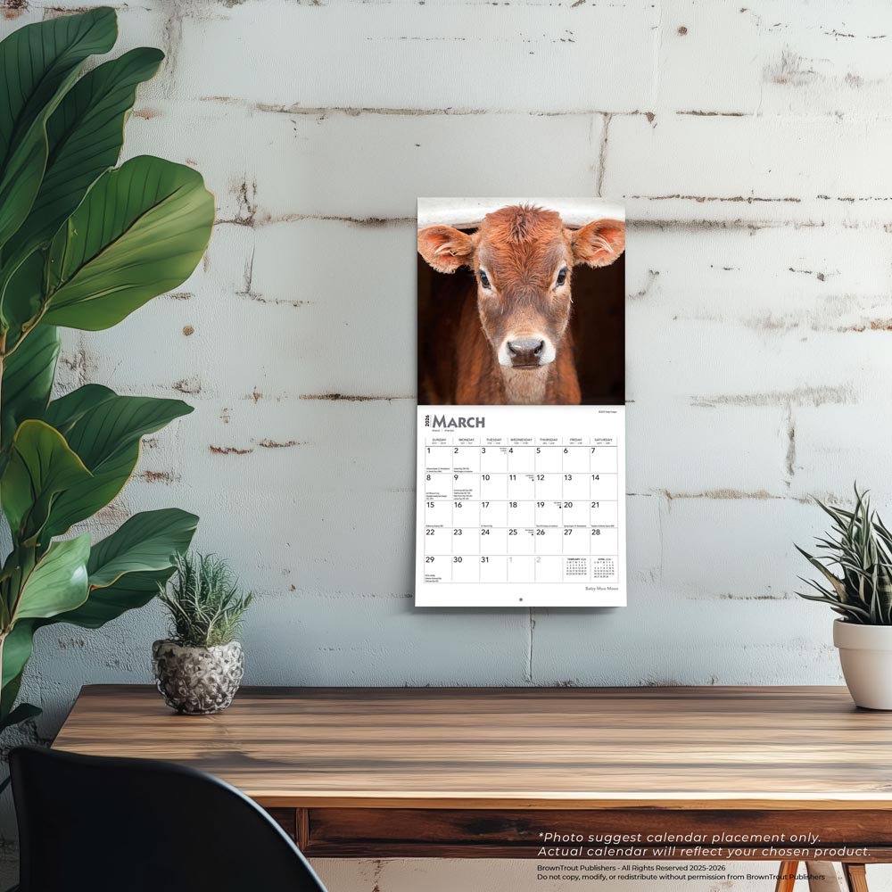 Baby Moo Moos | 2026 7 x 14 Inch (Hanging) Monthly Mini Wall Calendar