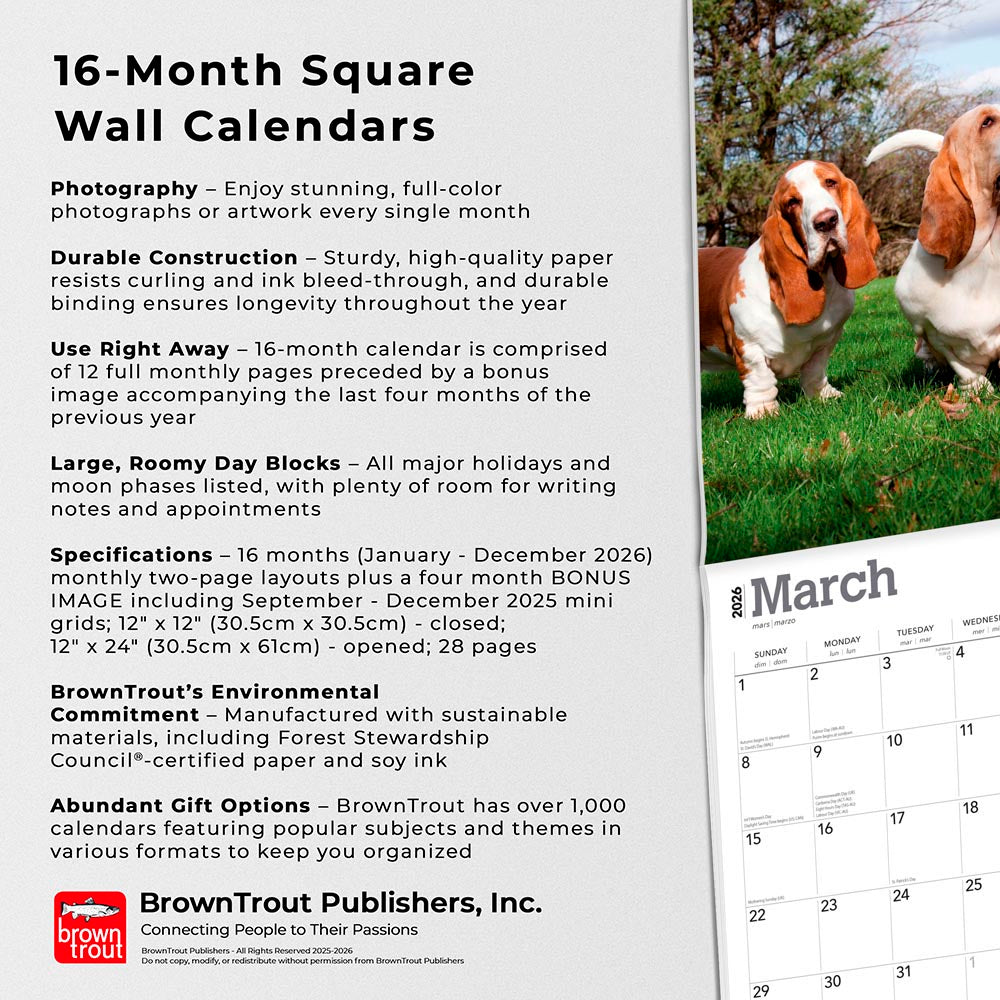 Basset Hounds | 2026 12 x 24 Inch (Hanging) Monthly Square Wall Calendar