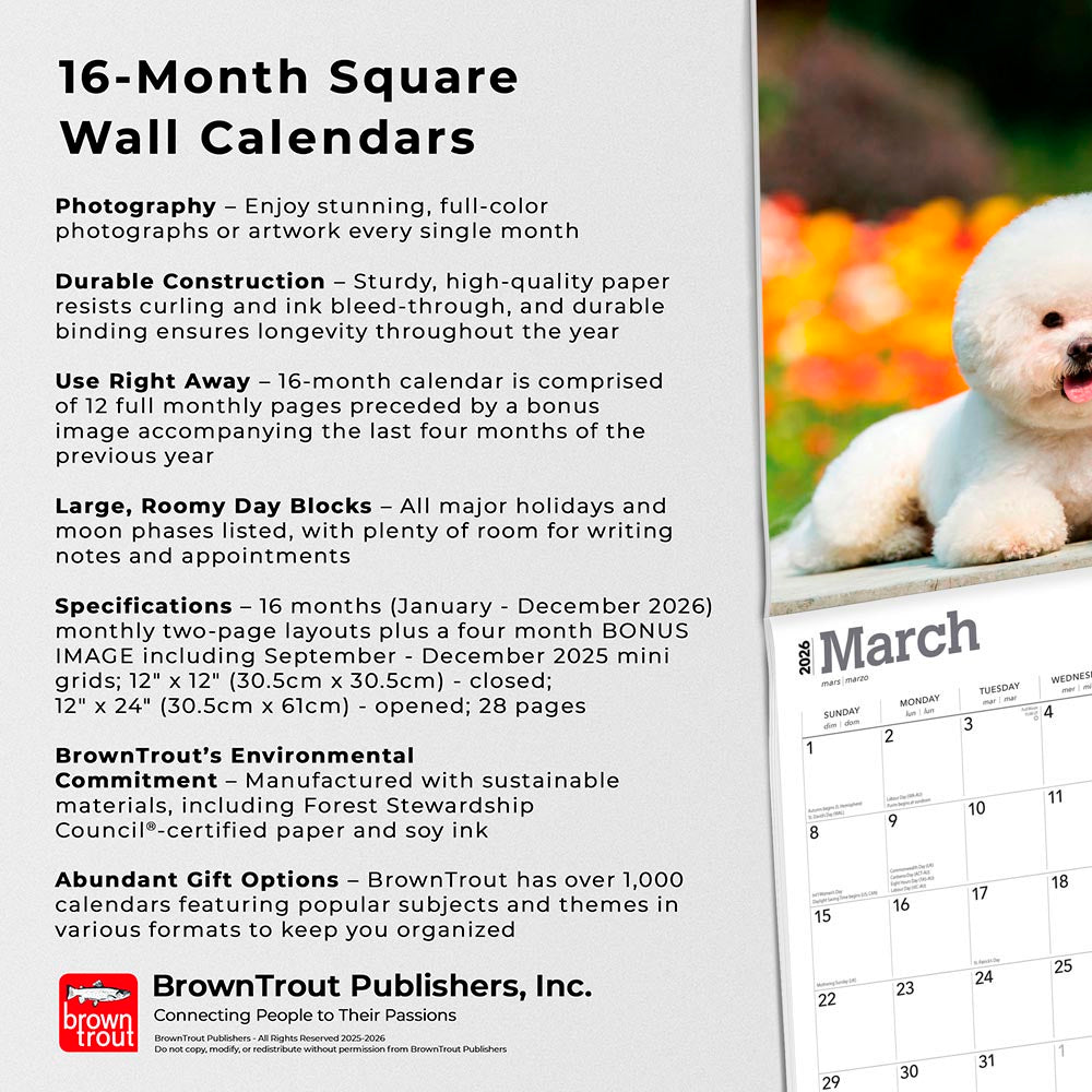 Bichon Frise | 2026 12 x 24 Inch (Hanging) Monthly Square Wall Calendar