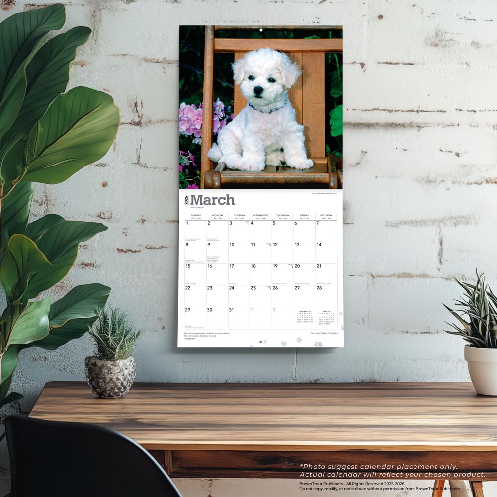 Bichon Frise Puppies | 2026 12 x 24 Inch (Hanging) Monthly Square Wall Calendar