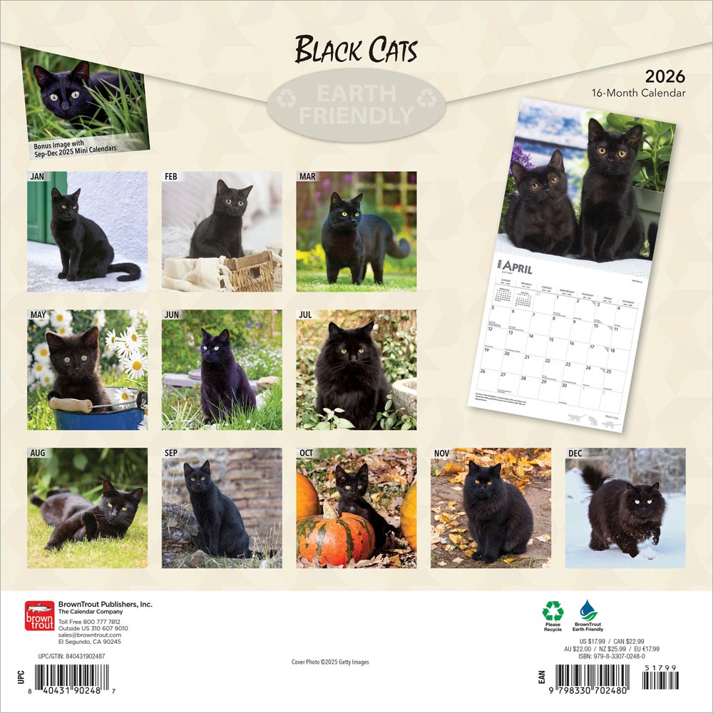 Black Cats | 2026 12 x 24 Inch (Hanging) Monthly Square Wall Calendar | Foil Stamped Cover