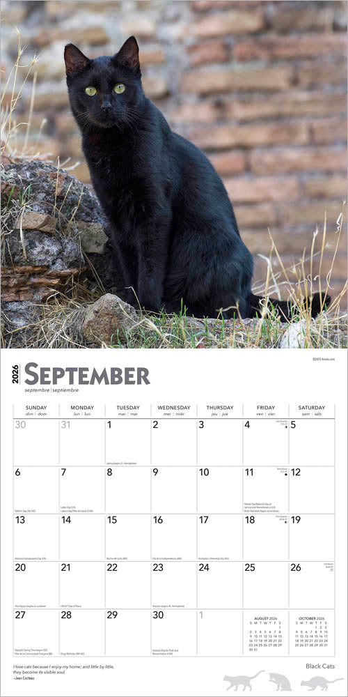 Black Cats | 2026 12 x 24 Inch (Hanging) Monthly Square Wall Calendar | Foil Stamped Cover