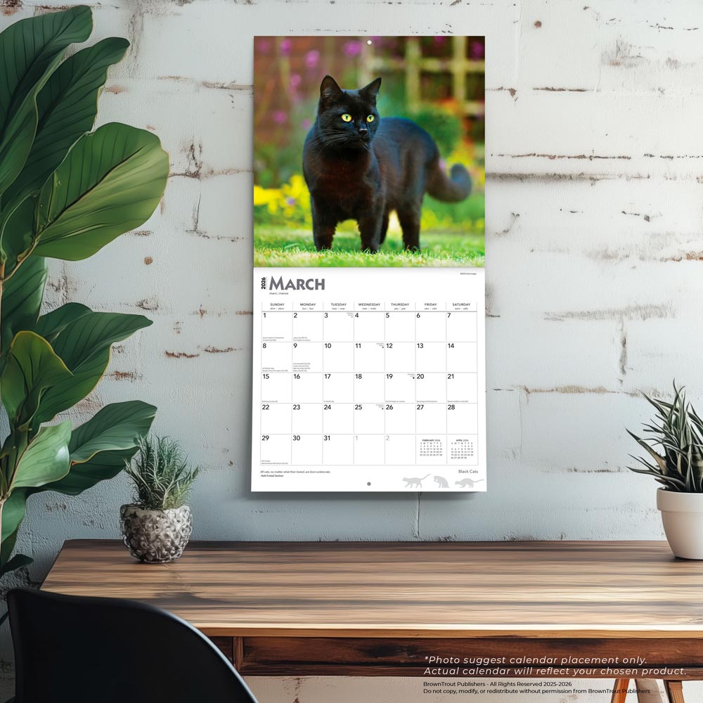 Black Cats | 2026 12 x 24 Inch (Hanging) Monthly Square Wall Calendar | Foil Stamped Cover