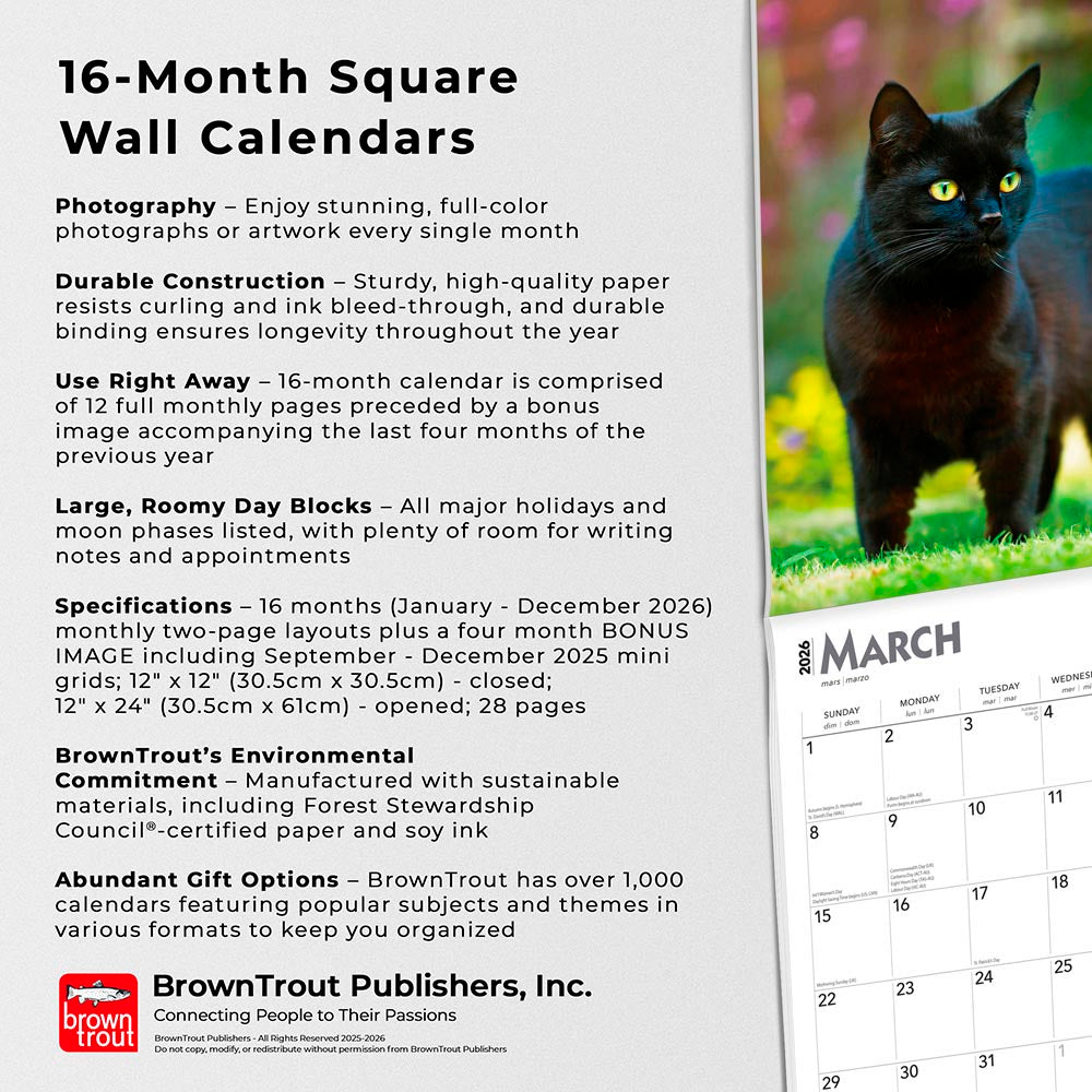 Black Cats | 2026 12 x 24 Inch (Hanging) Monthly Square Wall Calendar | Foil Stamped Cover