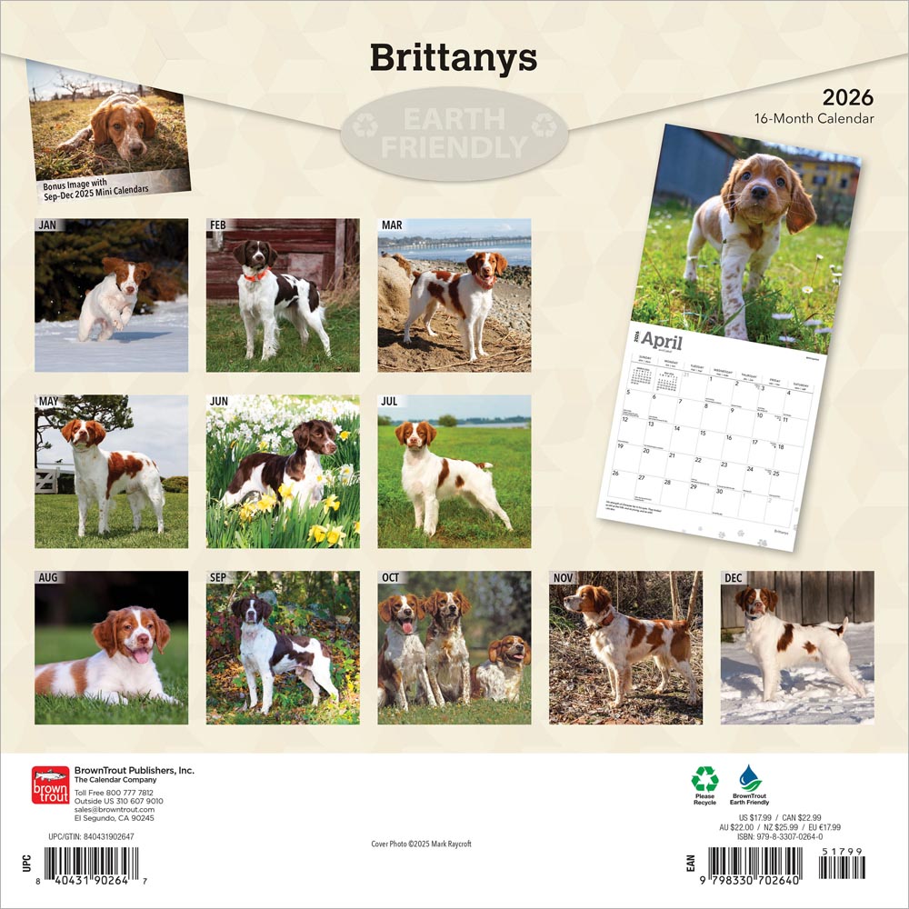 Brittanys | 2026 12 x 24 Inch (Hanging) Monthly Square Wall Calendar